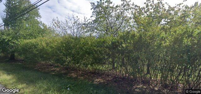 11 Willow Brook Road（加拿大曼尼托巴省溫尼伯市）房屋照片