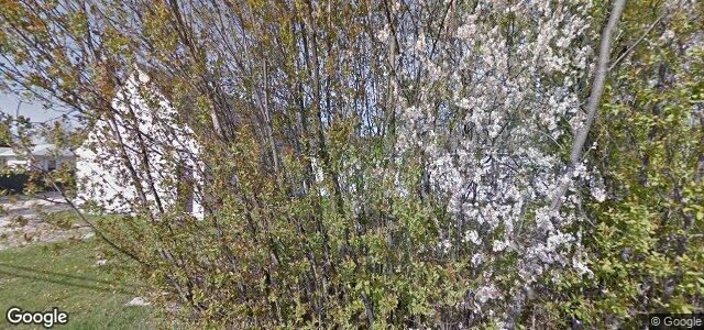 677 Isbister Street（加拿大曼尼托巴省溫尼伯市）房屋照片