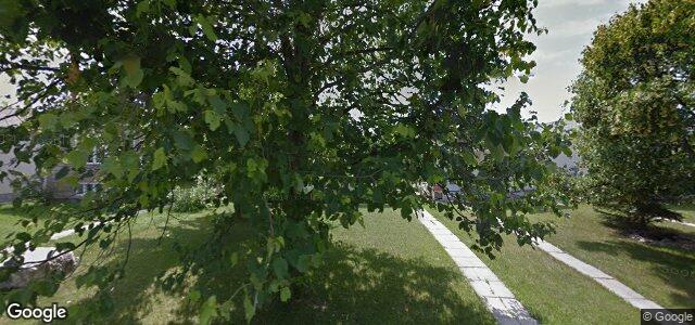 39 Hollyburn Road（加拿大曼尼托巴省溫尼伯市）房屋照片