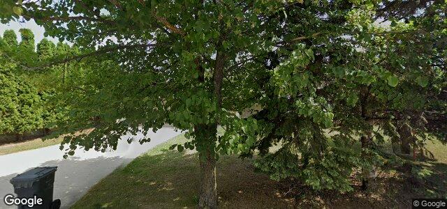 123 Belton Street（加拿大曼尼托巴省溫尼伯市）房屋照片