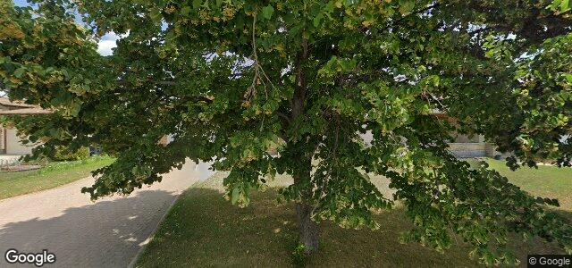 99 Belton Street（加拿大曼尼托巴省溫尼伯市）房屋照片