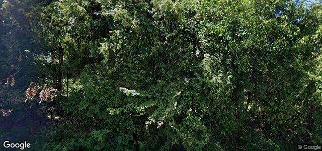 281 St Anthony Avenue（加拿大曼尼托巴省溫尼伯市）房屋照片