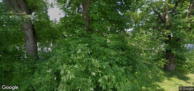 523 Whittier Avenue E（加拿大曼尼托巴省溫尼伯市）房屋照片