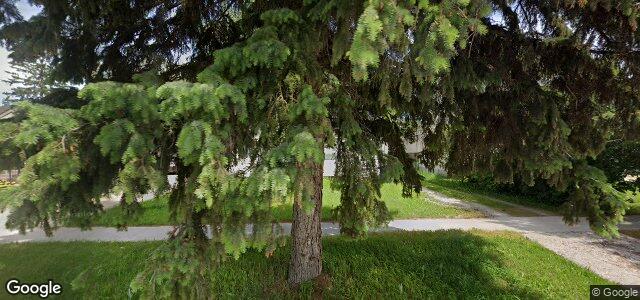 459 Greenacre Boulevard（加拿大曼尼托巴省溫尼伯市）房屋照片