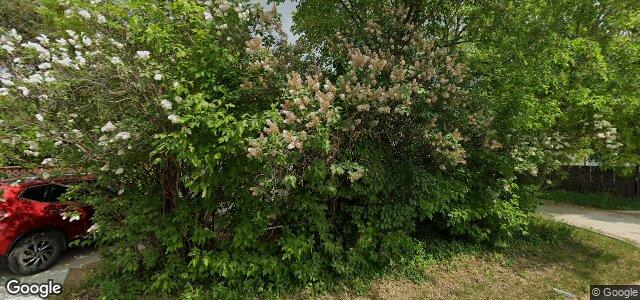 1055 Royse Avenue（加拿大曼尼托巴省溫尼伯市）房屋照片