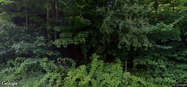 322 River Road（加拿大曼尼托巴省溫尼伯市）房屋照片