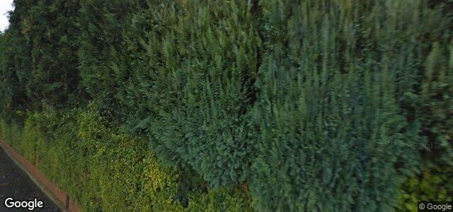 8 Millfield Drive（加拿大曼尼托巴省溫尼伯市）房屋照片