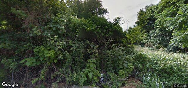 247 Chelsea Avenue（加拿大曼尼托巴省溫尼伯市）房屋照片