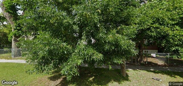 254 Austin Street N（加拿大曼尼托巴省溫尼伯市）房屋照片