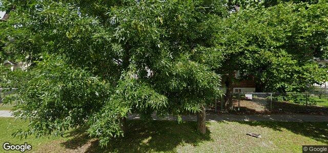 256 Austin Street N（加拿大曼尼托巴省溫尼伯市）房屋照片