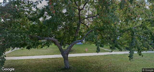 424 Horace Street（加拿大曼尼托巴省溫尼伯市）房屋照片