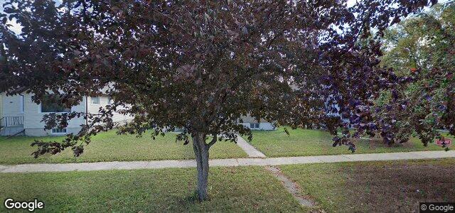 428 Horace Street（加拿大曼尼托巴省溫尼伯市）房屋照片