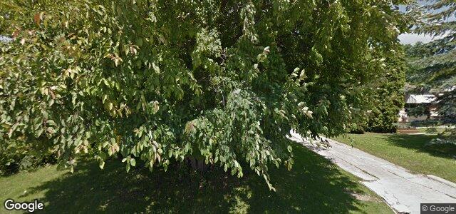 11 Virden Crescent（加拿大曼尼托巴省溫尼伯市）房屋照片