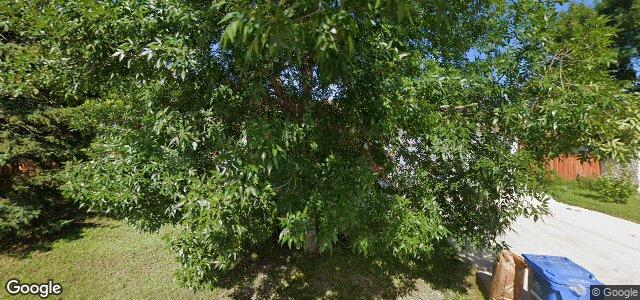 50 Jodonndra Bay（加拿大曼尼托巴省溫尼伯市）房屋照片