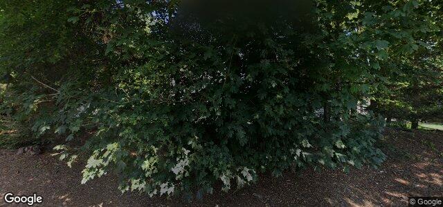 885 Mountain Avenue（加拿大曼尼托巴省溫尼伯市）房屋照片