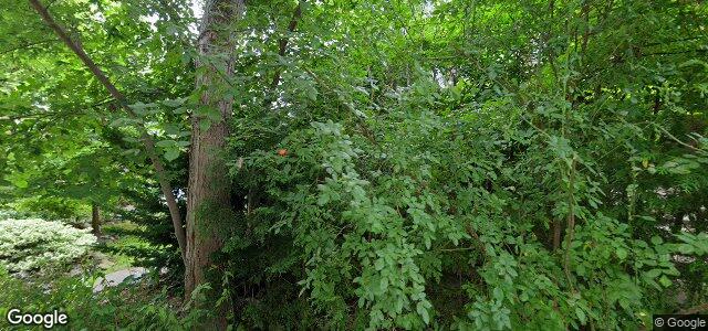 23 Lauder Avenue（加拿大曼尼托巴省溫尼伯市）房屋照片