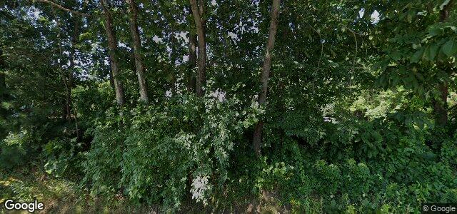 248 Sutton Avenue（加拿大曼尼托巴省溫尼伯市）房屋照片