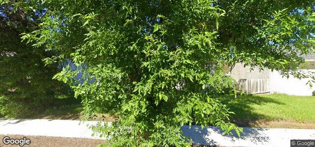 1306 Erin Street（加拿大曼尼托巴省溫尼伯市）房屋照片