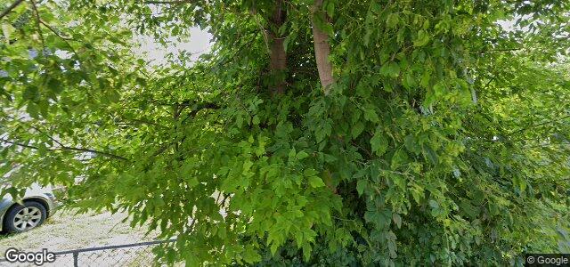 294 Scotia Street（加拿大曼尼托巴省溫尼伯市）房屋照片