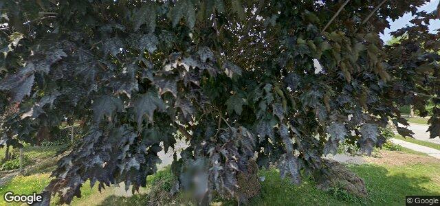 Larawan ng 58 Mcadam Avenue sa Winnipeg, Manitoba