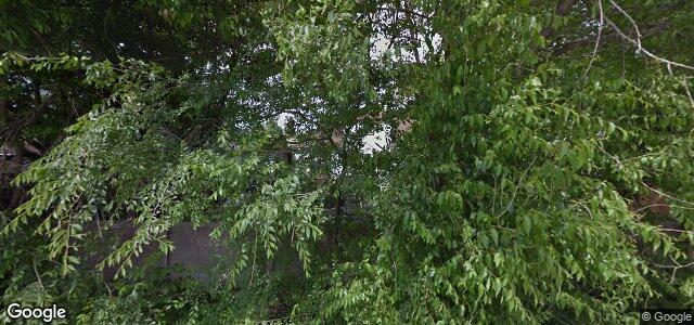 14 Rowand Avenue（加拿大曼尼托巴省溫尼伯市）房屋照片