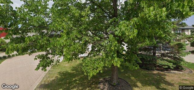 43 Dumbarton Boulevard（加拿大曼尼托巴省溫尼伯市）房屋照片