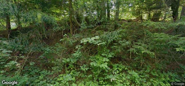 35 St George Road（加拿大曼尼托巴省溫尼伯市）房屋照片