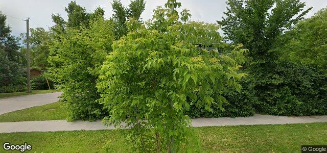 146 Machray Avenue（加拿大曼尼托巴省溫尼伯市）房屋照片