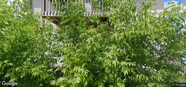 857 Bannatyne Avenue（加拿大曼尼托巴省溫尼伯市）房屋照片