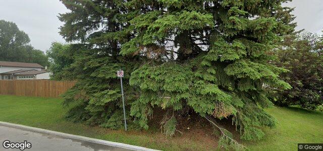 295 Whitegates Crescent（加拿大曼尼托巴省溫尼伯市）房屋照片