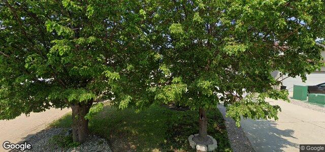 162 Vineland Crescent（加拿大曼尼托巴省溫尼伯市）房屋照片