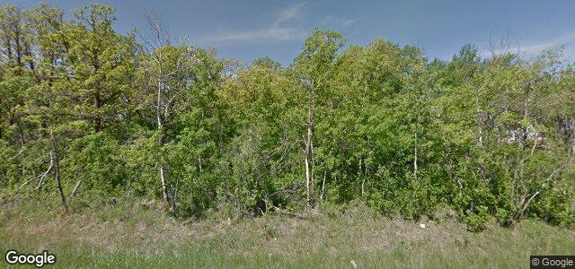 1370 Charleswood Road（加拿大曼尼托巴省溫尼伯市）房屋照片